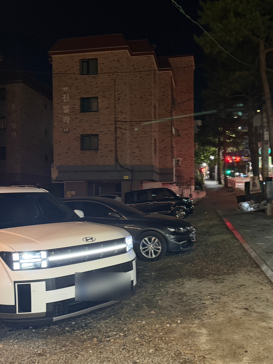김정문더덕오리 사진 3