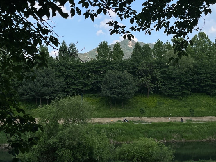  5월을 놓칠 순 없어!