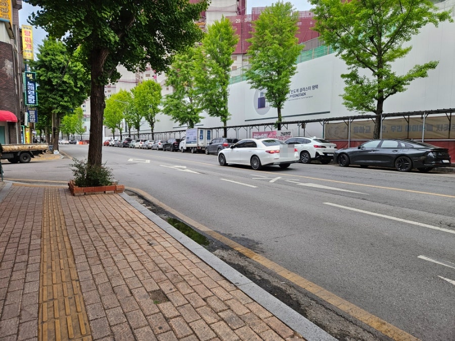진선배국수 사진 3