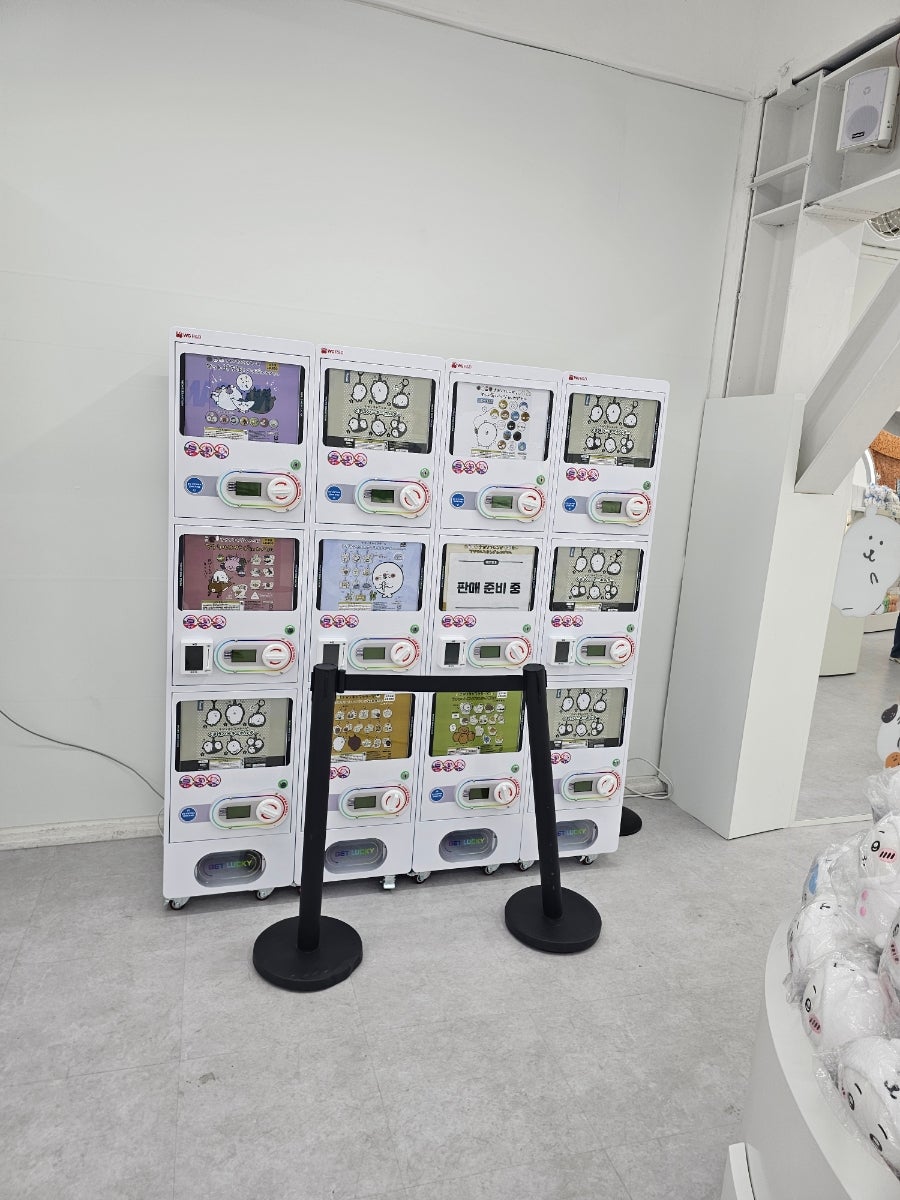 쿠마 사진 5
