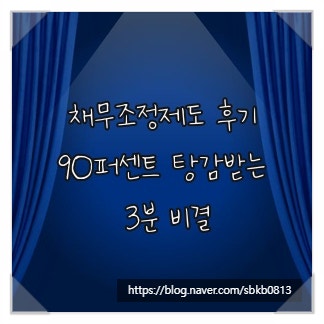 채무조정제도 후기, 90퍼센트 탕감받는 3분 비결