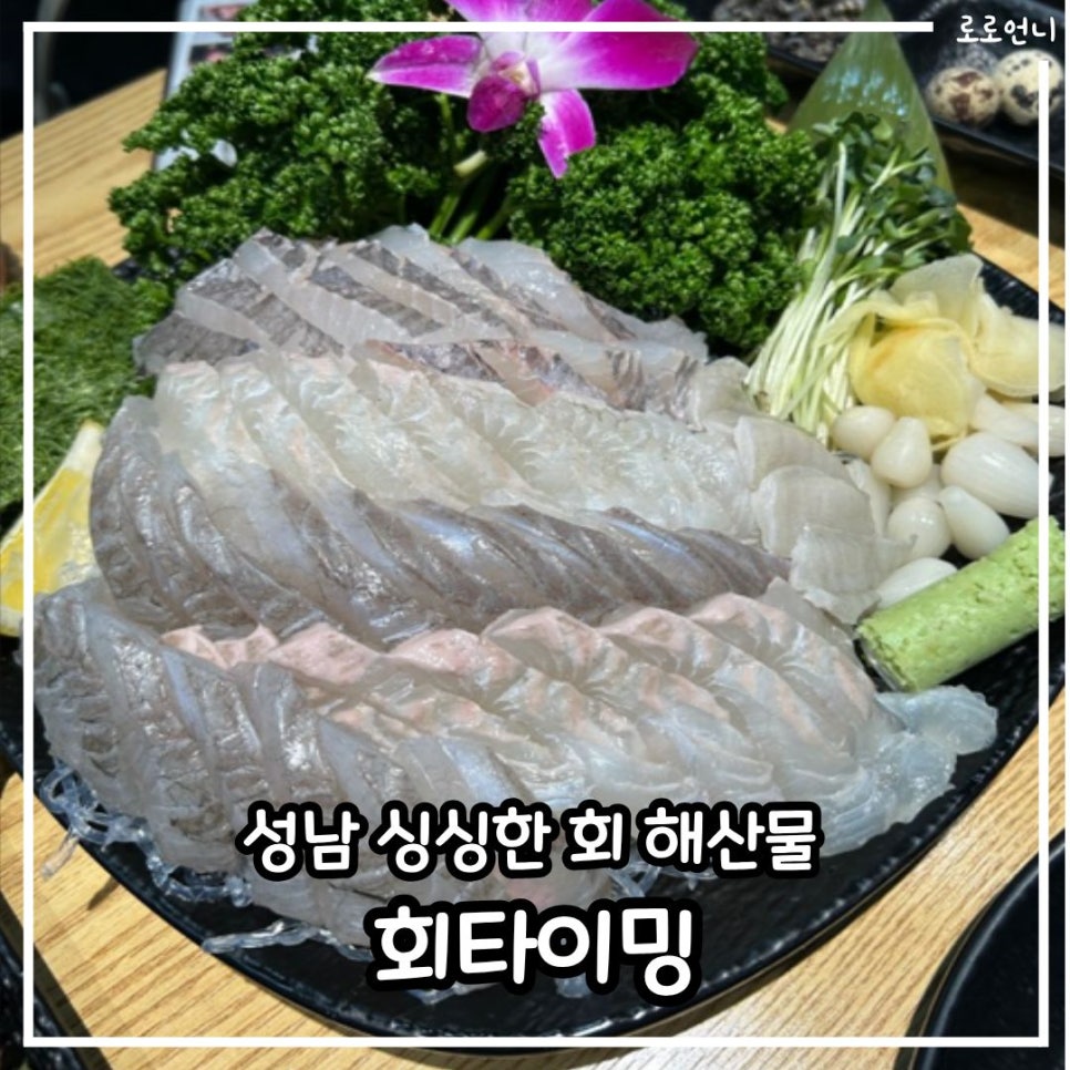 회타이밍 사진 1