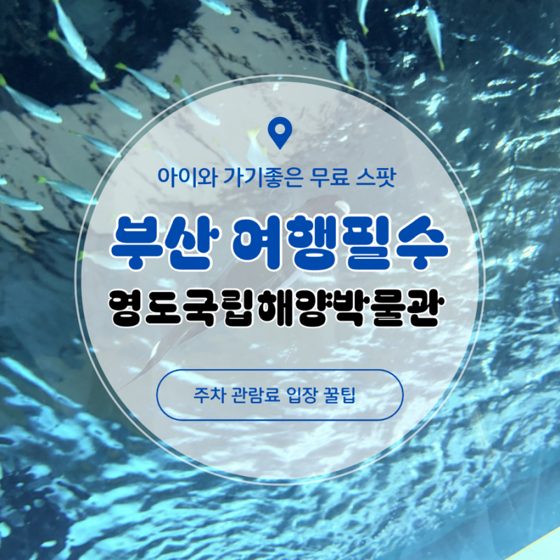 부산 영도 아이와 가볼만한 곳 국립해양박물관 관람료 주차비 피딩쇼 어린이 박물관 예약정....