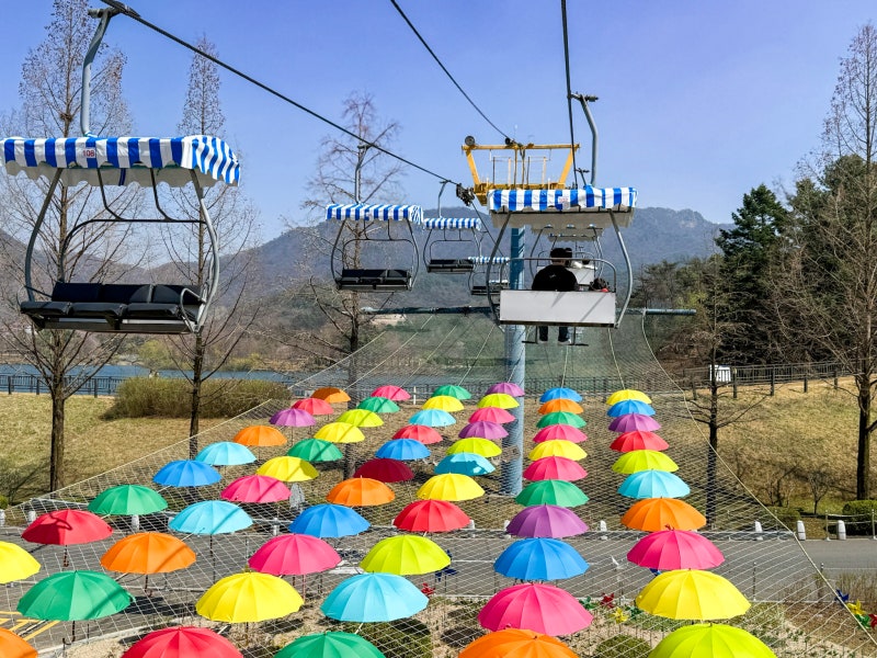 과천 서울대공원 리프트 동물원 동선 추천 입장료 5월 최대 할인