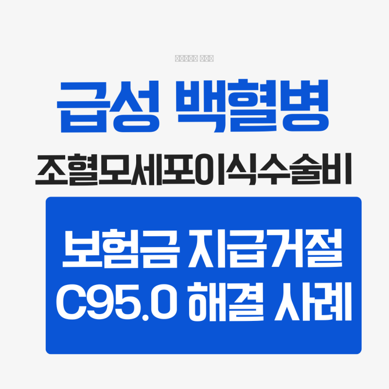 급성 백혈병 진단받은 고객 보험금 청구 1년동안 해드린 사례 조혈모세포이식수술 중증질환 ....