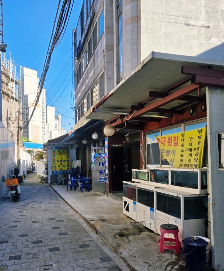 등대횟집 사진 4
