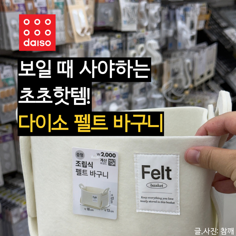 나오자마자 품절각? 다이소 신상 펠트 바구니 초인기 추천 꿀템