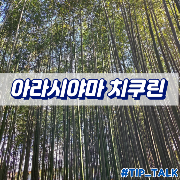  교토 대나무숲 아라시야마 치쿠린