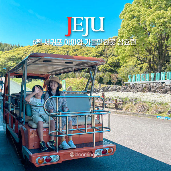  5월 서귀포 가볼만한곳 아이와 제주 여행 코스 상효원