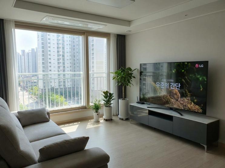  LG전자 TV 65인치 UHD QNED 추천