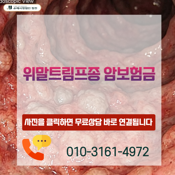  위말트림프종 암진단비 C88.4 코드 소액암 지급 거절에 대처하는 손해사정사의 실전 전략