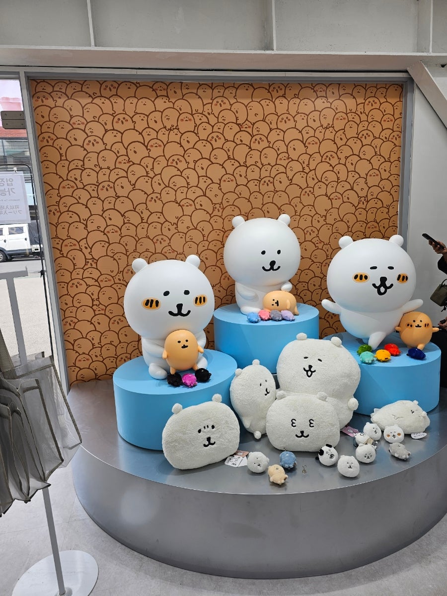 쿠마 사진 4