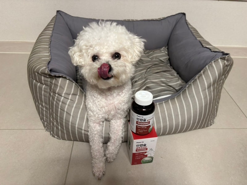 페노비스 강아지관절영양제 인캡슐 글루코사민9500MG