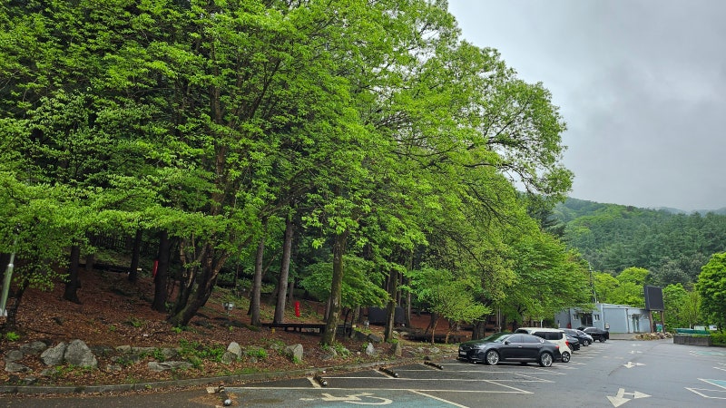 국립유명산 자연휴양림