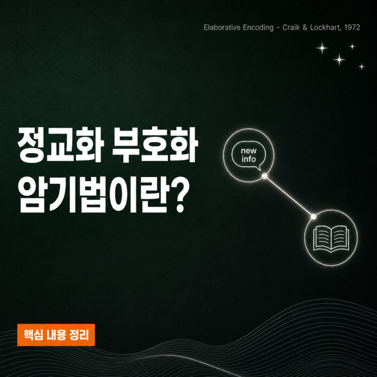 정교화 부호화 완벽 정리: 기억력을 높이는 4가지 학습법