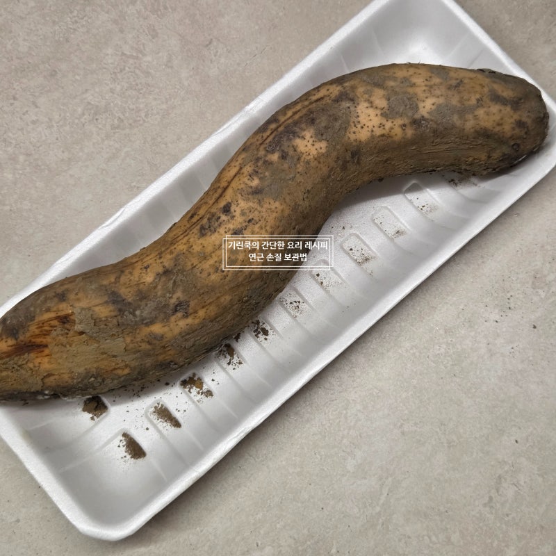 연근손질 하는 방법 보관 냉동 냉장기간
