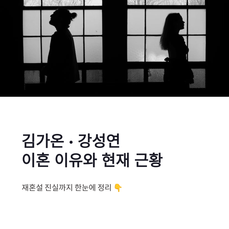 김가온 강성연 이혼 이유와 현재 근황, 재혼설 진실까지 정리