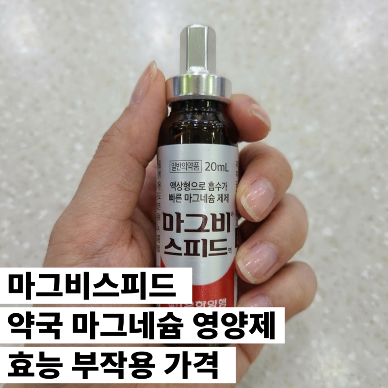 마그비스피드 약국 마그네슘 영양제 효능 부작용 가격