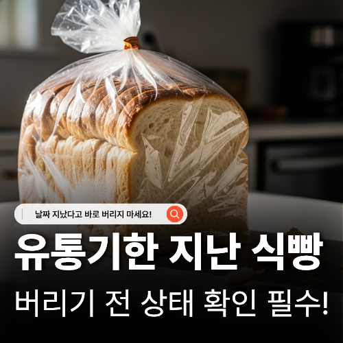  유통기한 지난 식빵 먹어도 될까 보관법과 활용법까지 완벽 정리