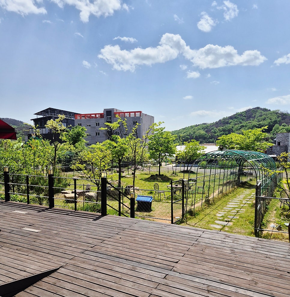 하빈한우 사진 1