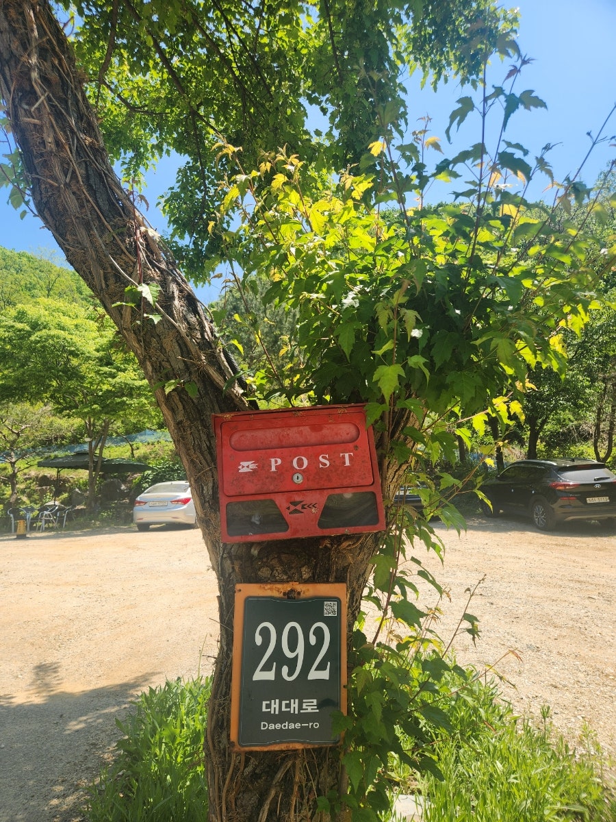 태화산곤드레 사진 4