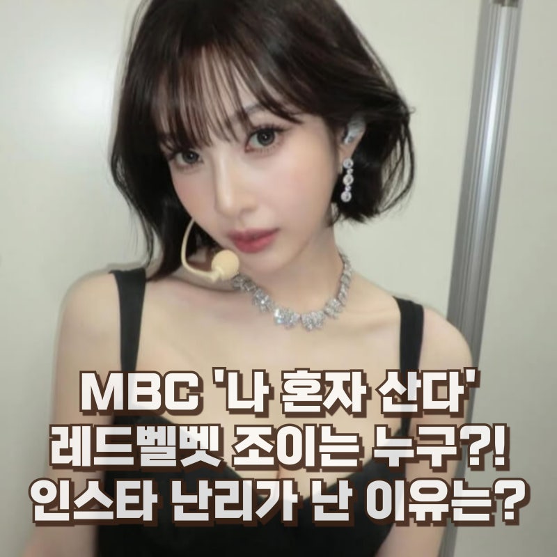 레드벨벳 조이 나이 키 프로필 남자친구 학력 인스타