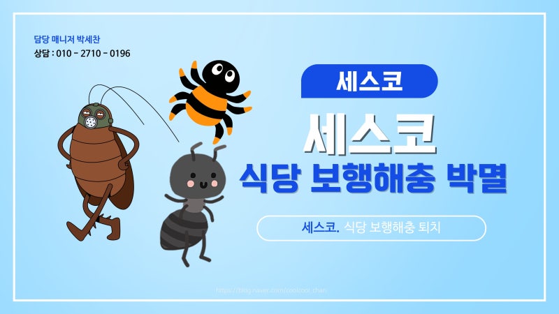 식당 바퀴벌레 한마리 박멸방법, 세스코