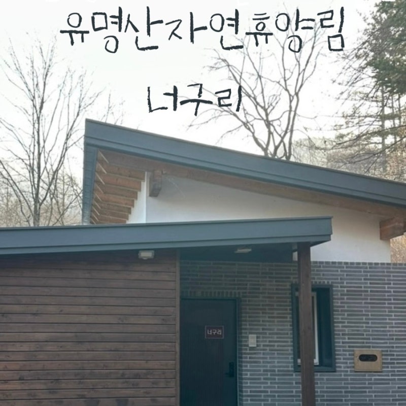 [경기 가평 유명산자연휴양림/너구리] 신축 숙소 후기 & 전체 숙소 총정리