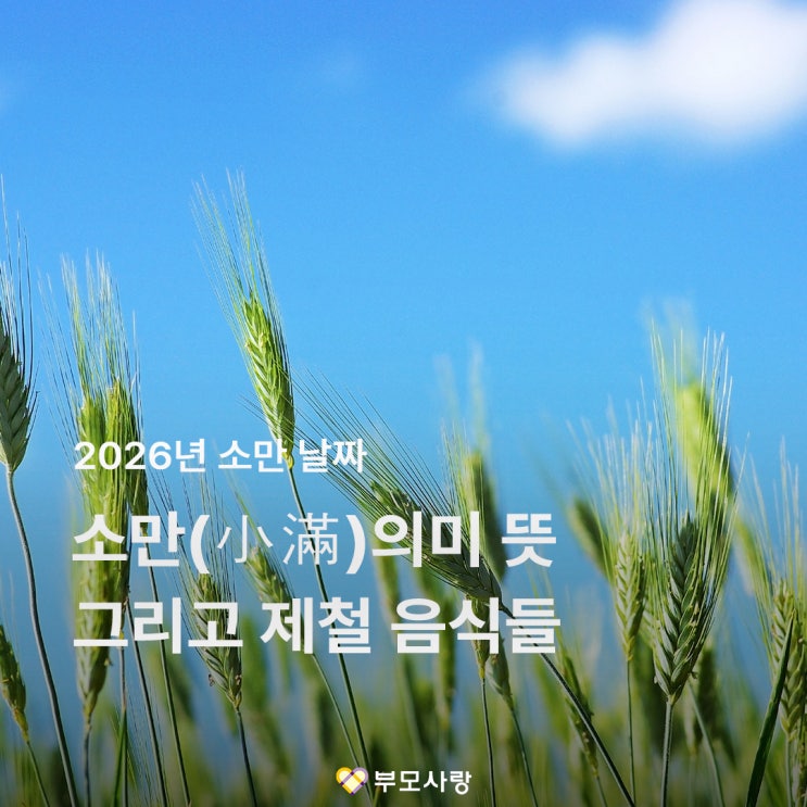 <b>냼留</b> 젅湲곗쓽 쓽誘몄 쑜, 젣泥 쓬떇 젙由