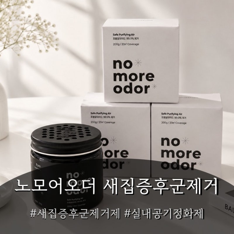 셀프 새집증후군 간단 제거방법ㅣ아기 있는 집 필수템 노모어오더 솔직 후기