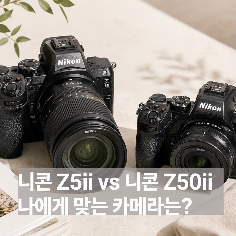 니콘 Z50II 충분할까? Z5II와 비교해보니 가장 큰 차이는 이것이었다