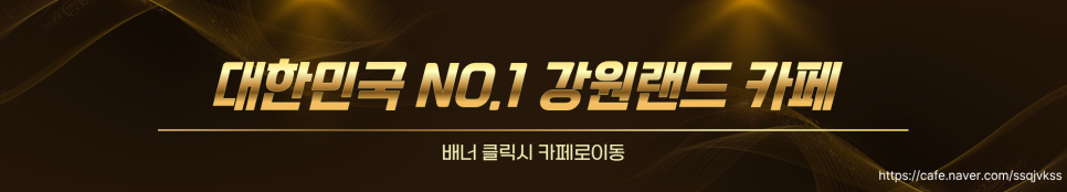 린카 사진 2