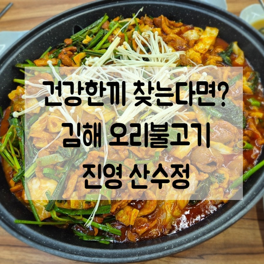산수정 사진 1