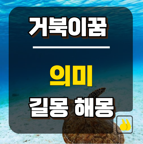 거북이꿈 의미 총정리 복 들어오는 대표 길몽 해몽