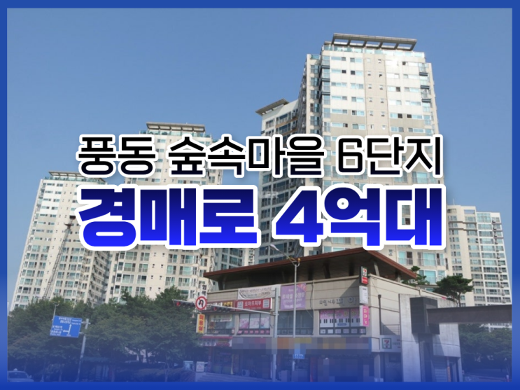  풍동 숲속마을 6단지 경매 분석, 싸게 사는 방법