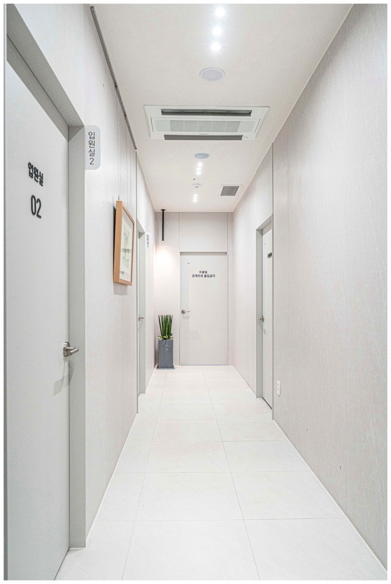 병점하지정맥류발거술 혈관 상태에 맞춘 진행