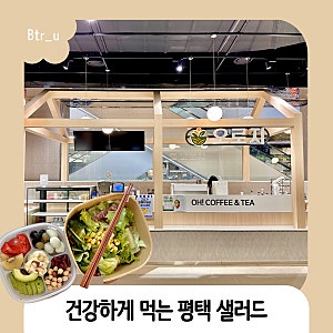 평택샐러드 정기배송 말고 정기적으로 먹고 싶은 오로지 샐러드