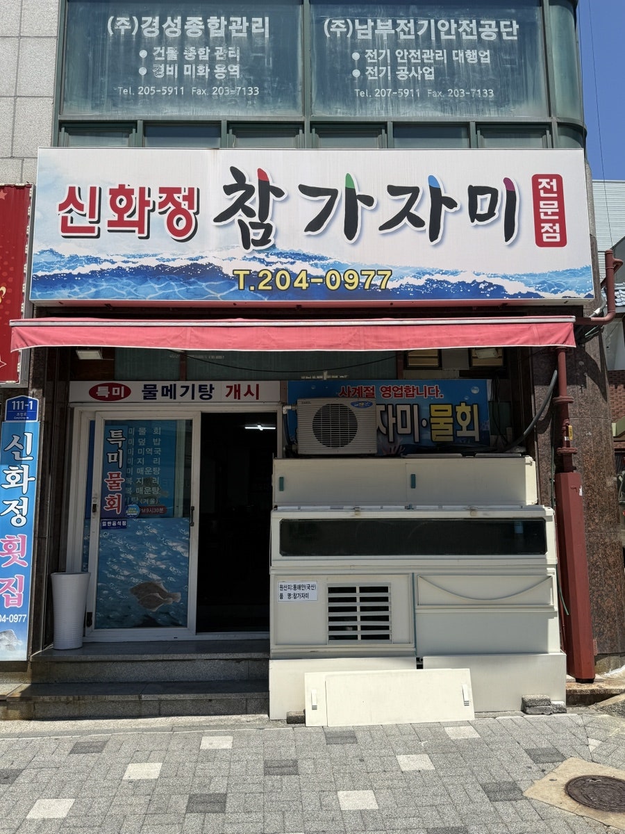 신화정참가자미 사진 1