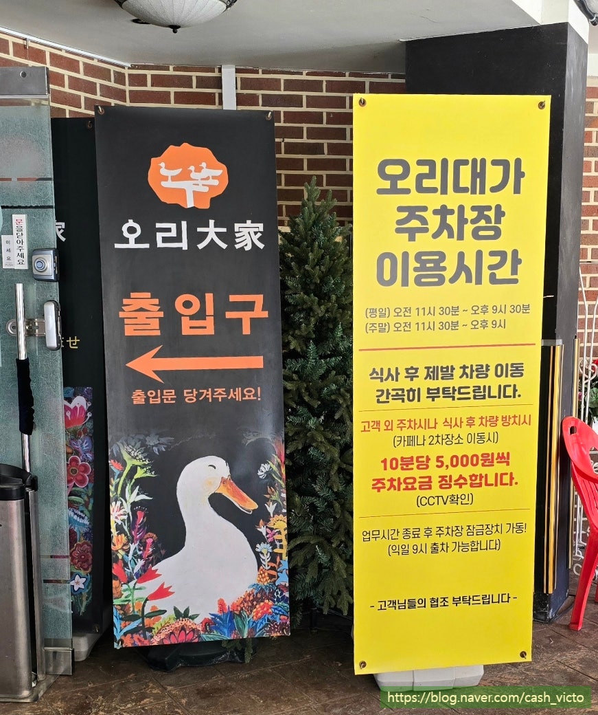 오리대가 사진 3