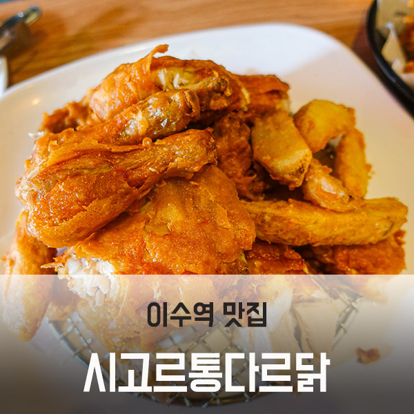 시고르통다르닭 사진 1