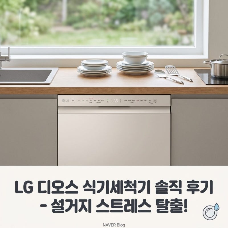 LG 디오스 식기세척기 12인용 DUBJ2EA 솔직 후기