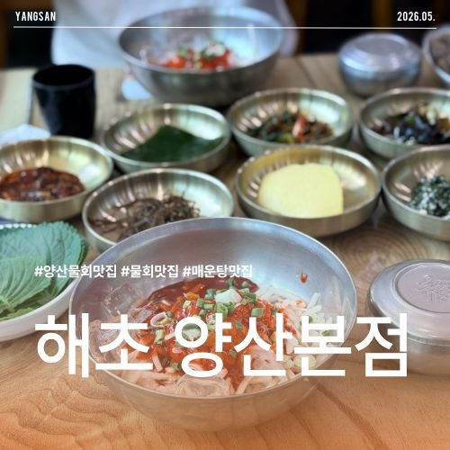 양산 물회 맛집 해초 양산본점, 육수 없이도 완성되는 비빔물회