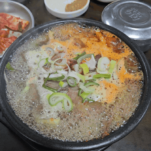  제주 노형동 해장국 맛집 제주여행 첫 끼로 좋은 산지해장국 노형직영점