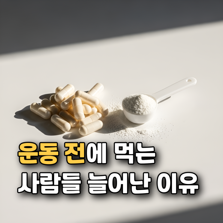  아르기닌 효능 부작용 섭취방법 총정리  운동·혈액순환·활력 관리까지