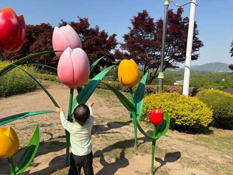 용인농촌테마파크 30개월 아이와 다녀온 후기｜주차·입장료·돗자리 피크닉