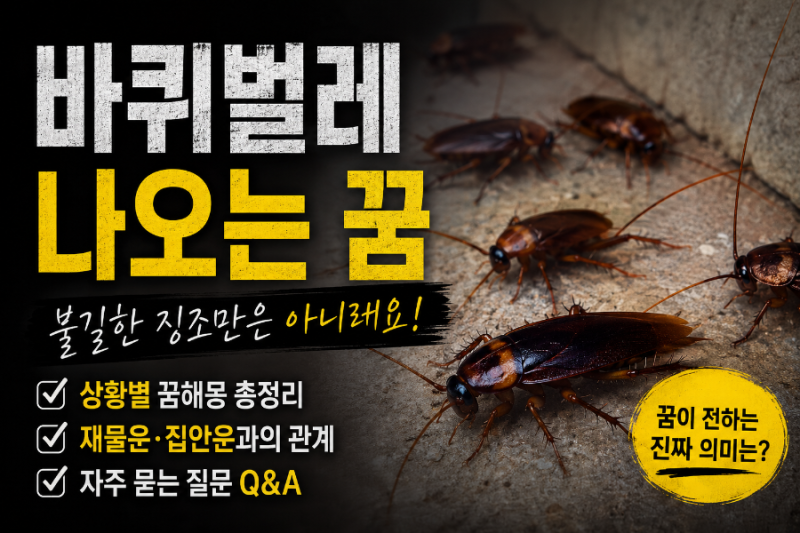바퀴벌레나오는꿈 불길한징조만은 아니래요