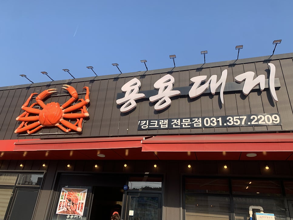용용대게 사진 1