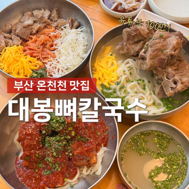 부산 온천천 맛집 유튜브 100만 조회수 대봉뼈칼국수 본점