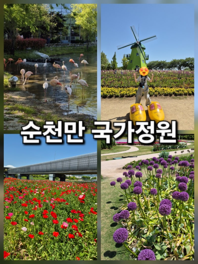 순천만국가정원 지도 입장료 스카이큐브 정원드림호 5월 나들이 추천
