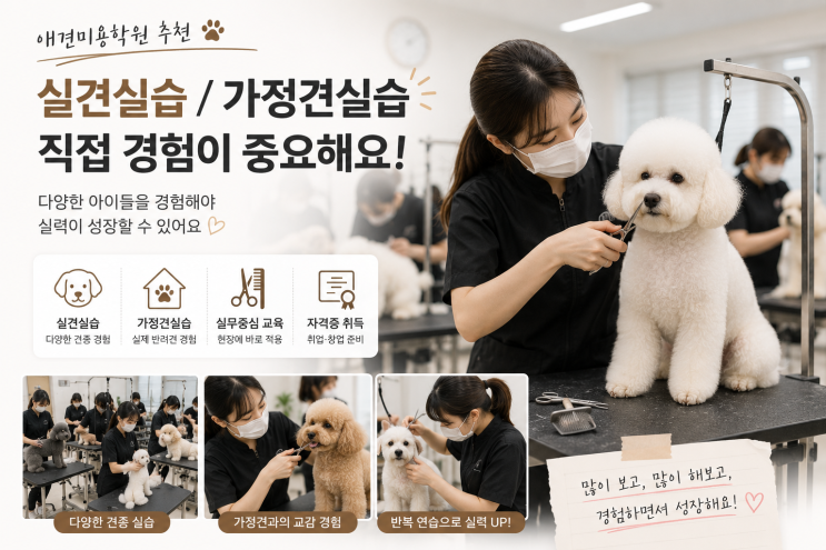  애견미용학원 추천 받을 때 실견실습을 중요하게 본 이유 